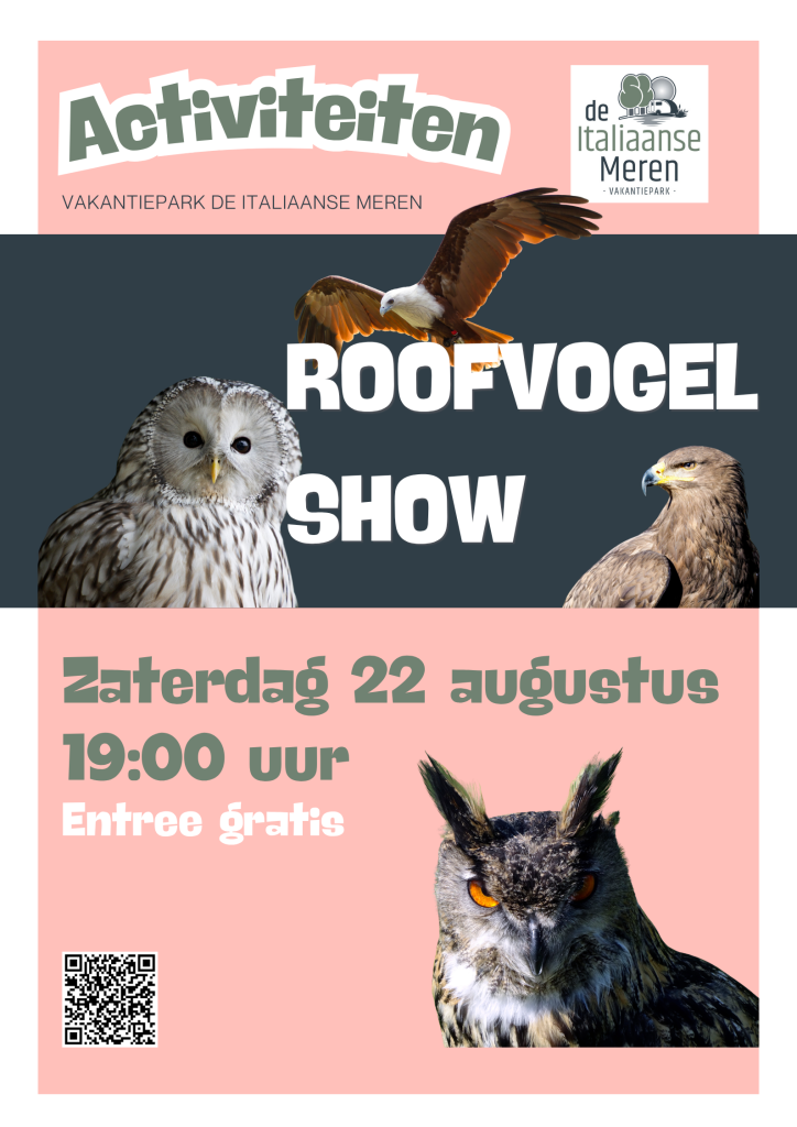 Roofvogel show Winterswijk
