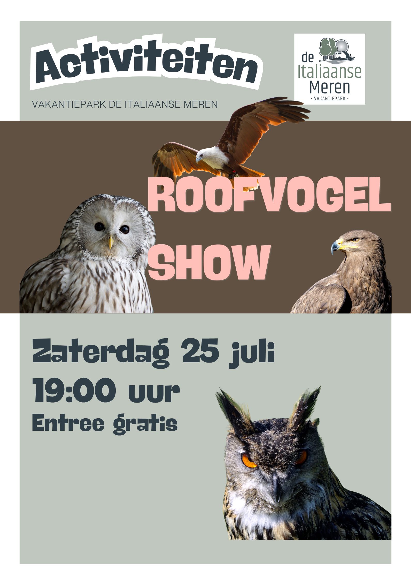 Roofvogel show Winterswijk